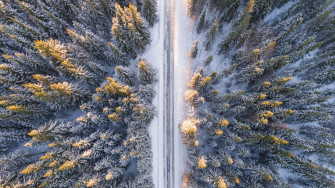 Winter Forest 4k Wallpaper