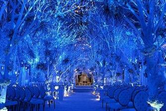 Winter Wonderland Wedding Theme Pictures