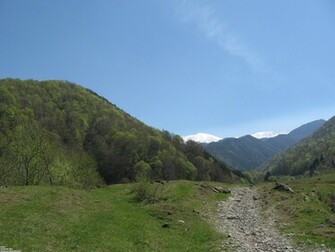 Mountain Road Wallpaper Open Walls