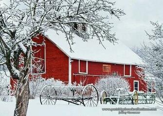 Winter Scenes