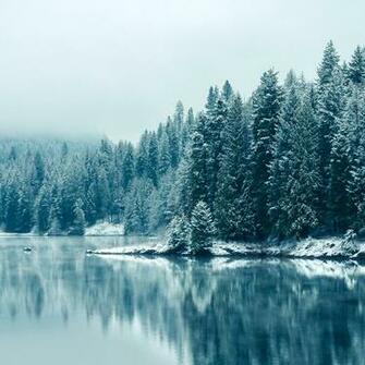 Wallpaper Weekends Frosted iPad Mini Winter Pack Mactrast