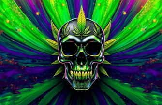 Wallpaper Of Weed Skull
