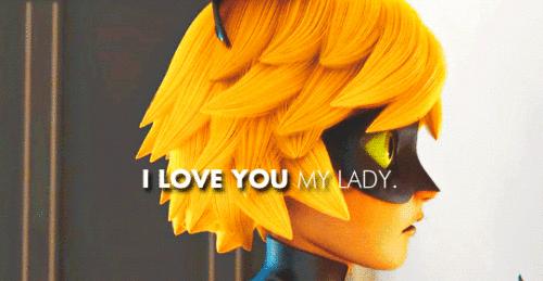 Ladybug Image Chat Noir And Wallpaper Background Photos