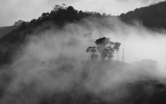 Misty Mountain Wallpaper