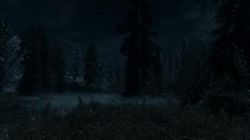 Dark Forest Computer Wallpaper Desktop Background