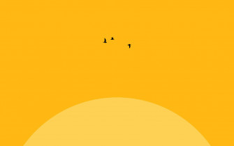 Bright Cheerful And Modern Wallpaper
