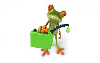 Frog 3d Wallpaper For Desktop Is A Great Your Computer