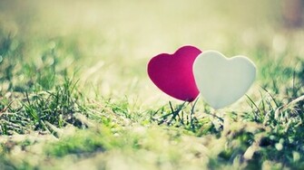 Beautiful Love Wallpaper HD