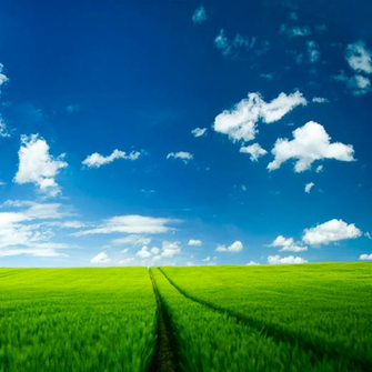 Green Field iPad Wallpaper Retina HD