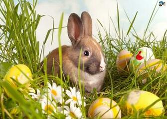 Easter Desktop Wallpaper Background