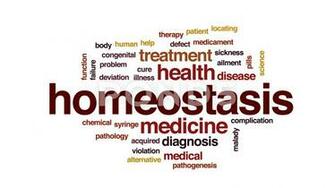 Video Homeostasis Animated Word Cloud Text Design Animation