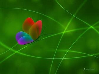 Butter Fly Wallpaper