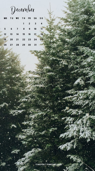 December Wallpaper Pine Tree I Take You