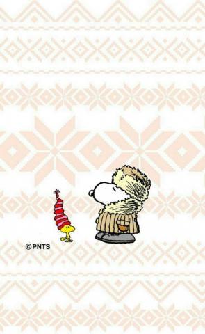 Wrapped Up For The Winter Snoopy Wallpaper Pictures