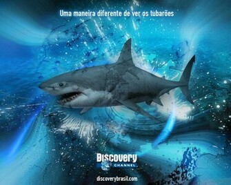 Discovery Channel Wallpaper