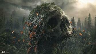 HD Wallpaper Of Desktopography Skull Nature