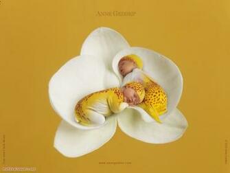 Anne Geddes Wallappers Part Desktop Wallpaper HD
