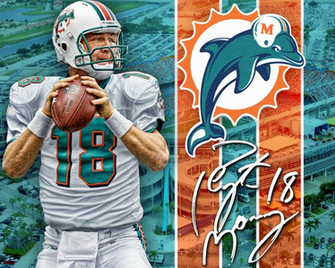 Miami Dolphins Wallpaper Tannehill