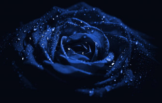 Top Aesthetic Dark Blue Wallpaper Full HD 4k To Use