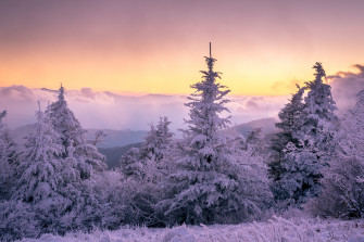 Nature Winter 4k Ultra HD Wallpaper