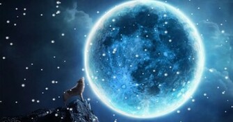 Source Url Screensavergift Howling Wolves Screensaver
