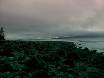 Pacific Northwest Beach Wallpaper