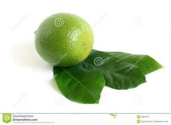 Lime Green And White Wallpaper HD Lovely