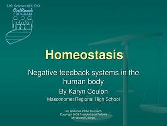 Homeostasis Negative Systems In The Human Body Ppt