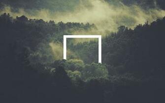 Foggy Forest Wallpaper