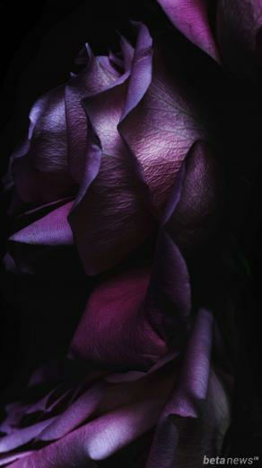 Ios Stock Wallpaper For iPhone Pack