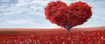 Beautiful Everyone S Apostolic Wallpaper