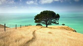 Pics Photos And New Zealand Desktop Background For
