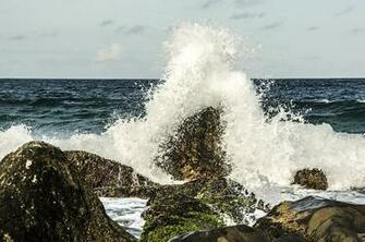 HD Wallpaper Brazil Florian Polis Morro Das Pedras Beach