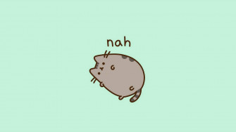 Cat Meme Picture Wallpaper