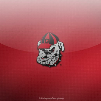 Georgia Bulldogs iPad Wallpaper Colleges In