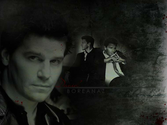 David Boreanaz Wallpaper By S Gb