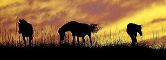 Outer Banks Vacations North Carolina Beach Vacation Experiences