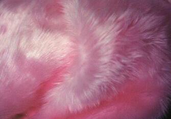 Pink Fur Background