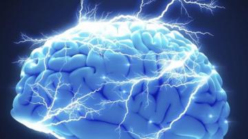 Books That Will Train Your Brain To Overachieve Inc
