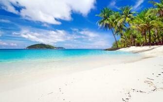 Photos Thailand Phuket Beach Nature Sky Sand Tropics Palm
