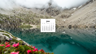 June Wallpaper Bies For Desktop Phones