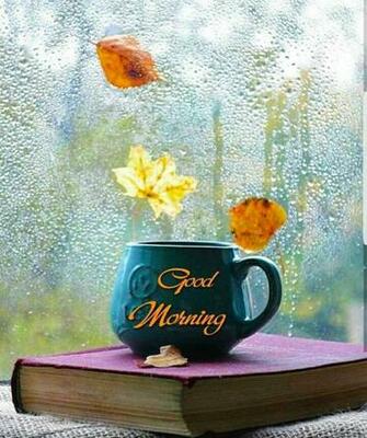 Good Morning Image For Whatsapp HD Wallpaper