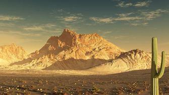 Sonoran Desert HD Pictures