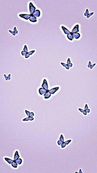 Butterfly Aesthetic Wallpaper
