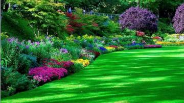 HD Garden Wallpaper On