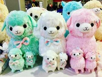 Alpacasso Wallpaper
