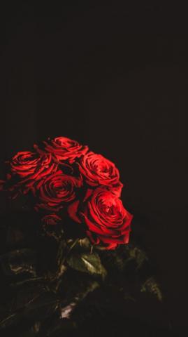 Wallpaper Roses Bouquet Flowers Dark Red iPhone