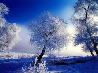 Winter Wallpaper HD Nature
