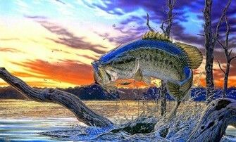 Bass Fishing Wallpaper