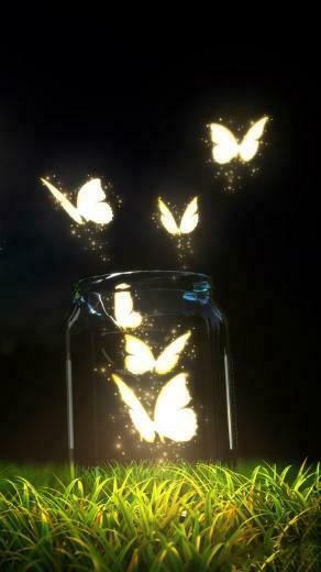 F A N T S Y Fantasy Dreamworld Nightlight Lovely Art